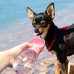 Pups Thirst Quencher
